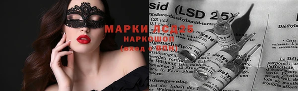 Альфа ПВП Баксан