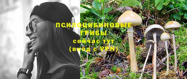 каннабис Приозерск
