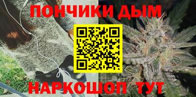 мдпв Камышлов