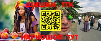 мдпв Камышлов