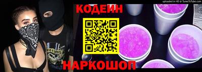 мдпв Камышлов