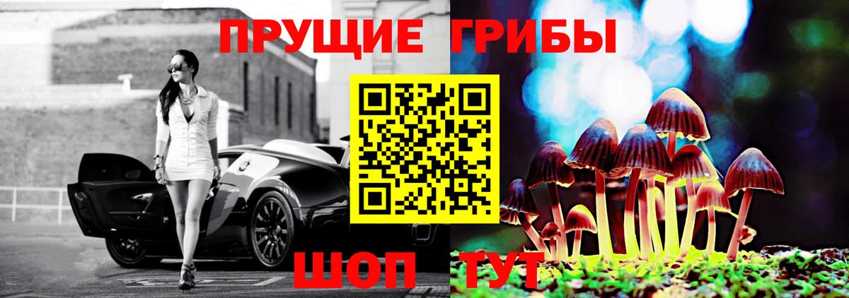 Липецк  Галлюциногенные грибы GOLDEN TEACHER  Вход с VPN 
